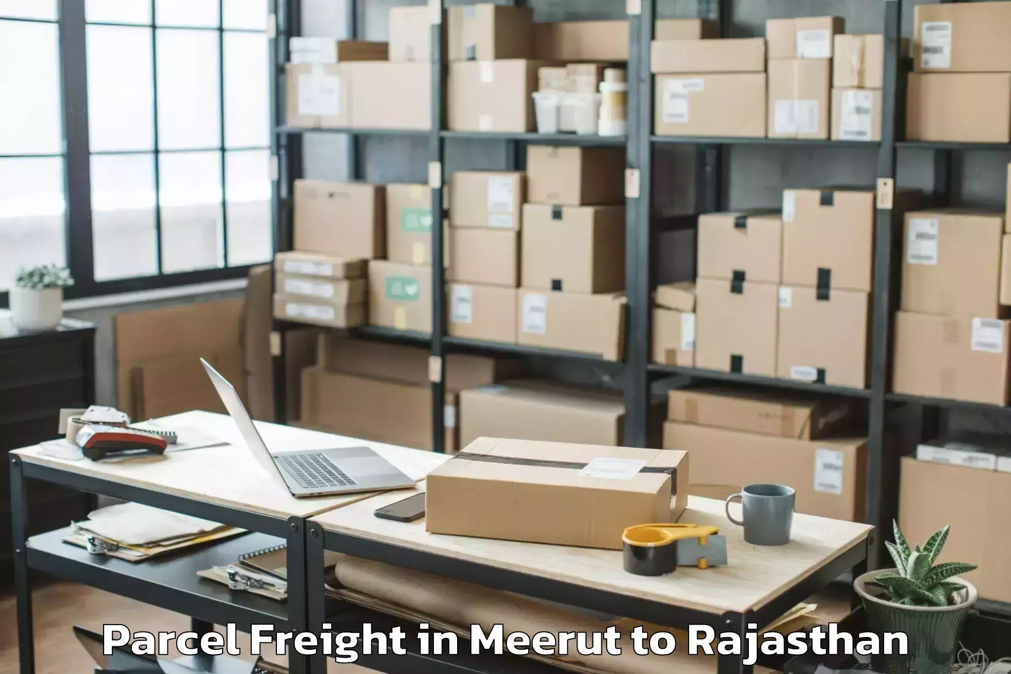 Professional Meerut to Bandikui Parcel Freight